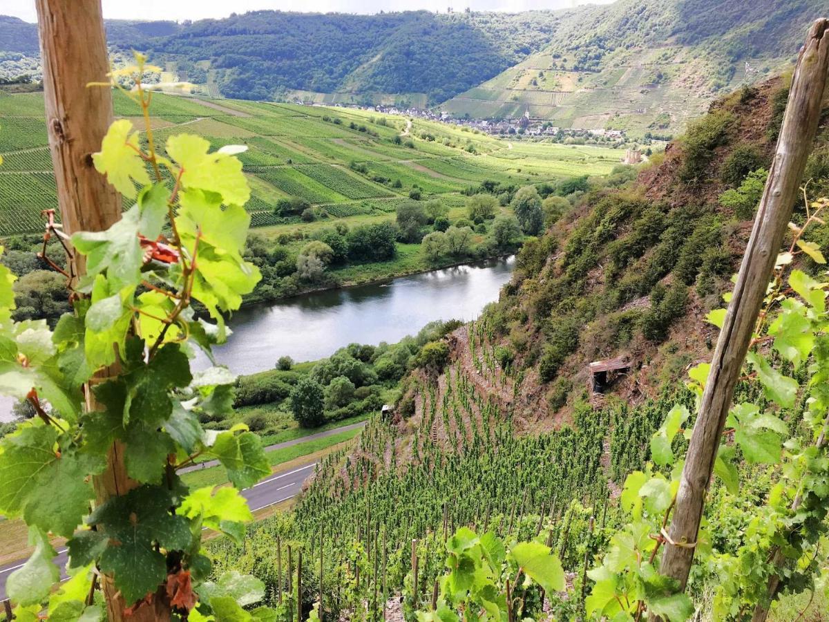 Ferienwohnungen Merl Zell an der Mosel Luaran gambar