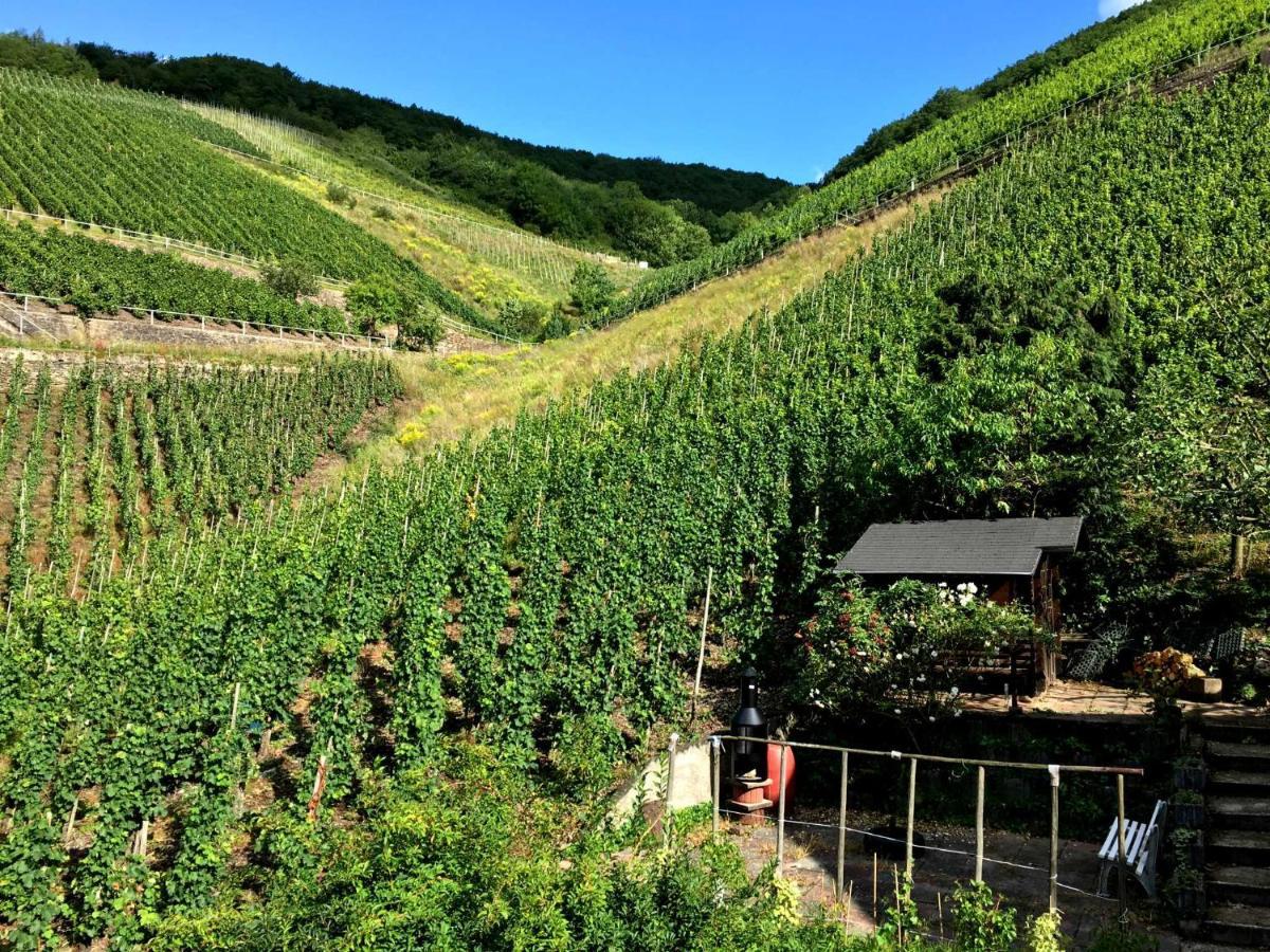 Ferienwohnungen Merl Zell an der Mosel Luaran gambar